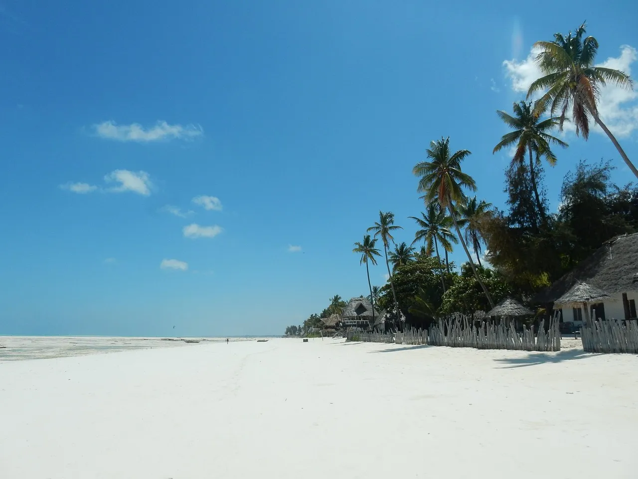 Bagamoyo Beach Tour