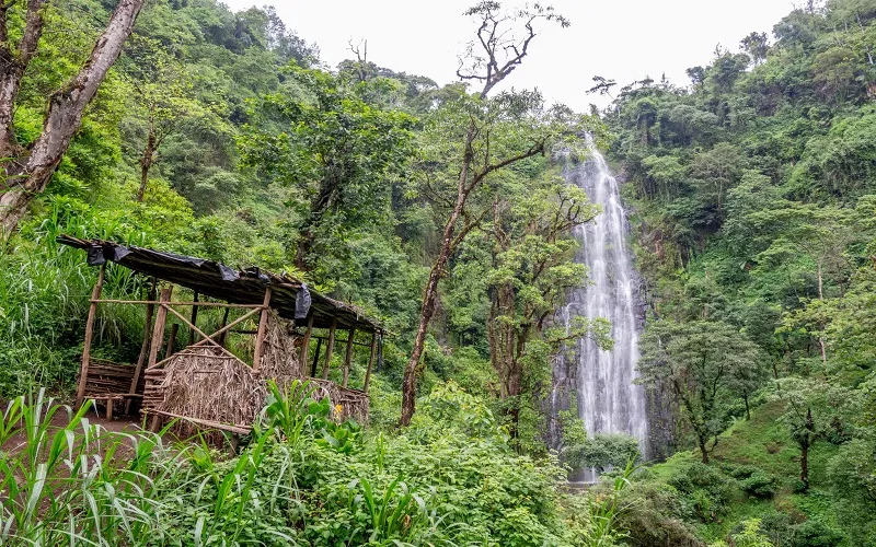 Day Trips & Excursions