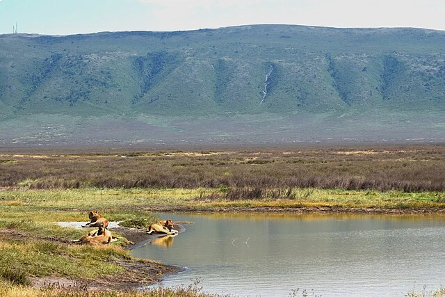 Ngorongoro National Park