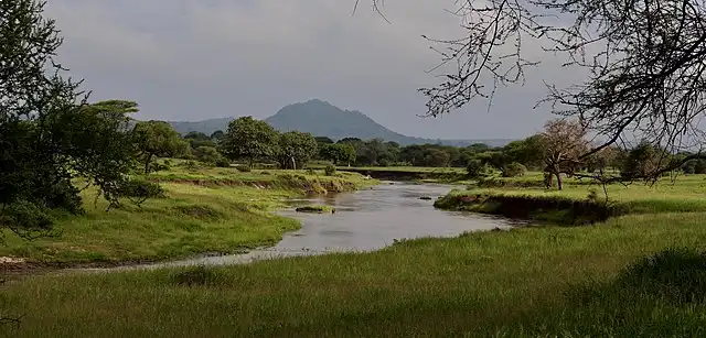 Tarangire River