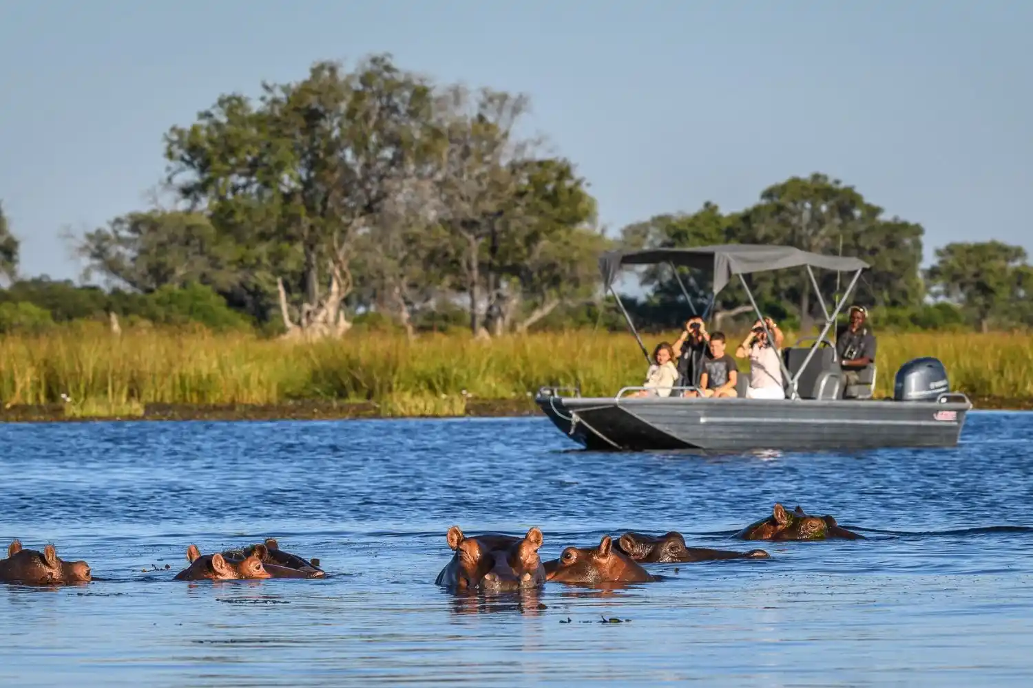 Boat Safari Experience