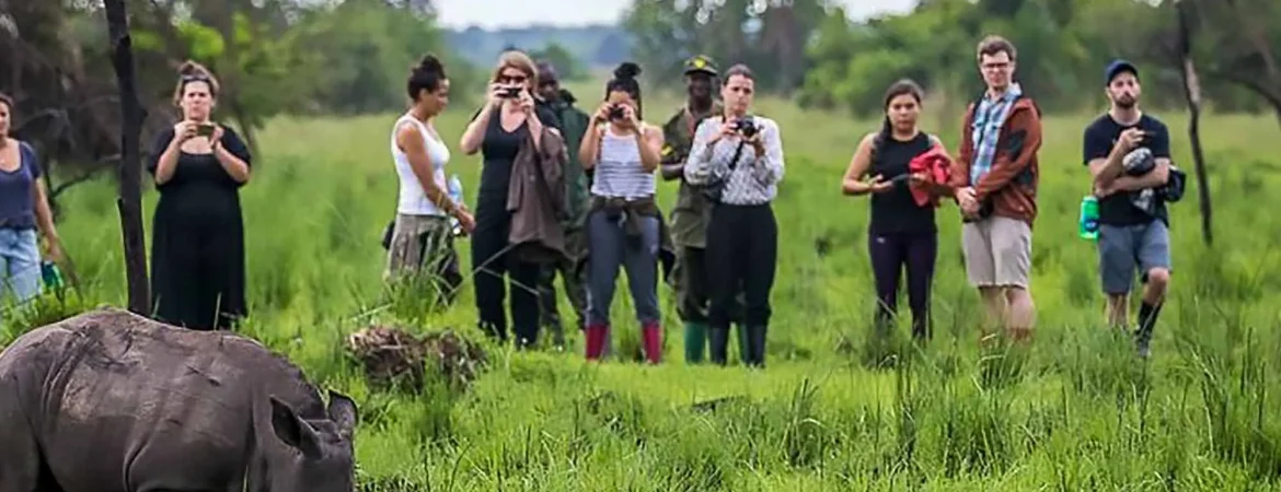 Group Joining Safari Experience