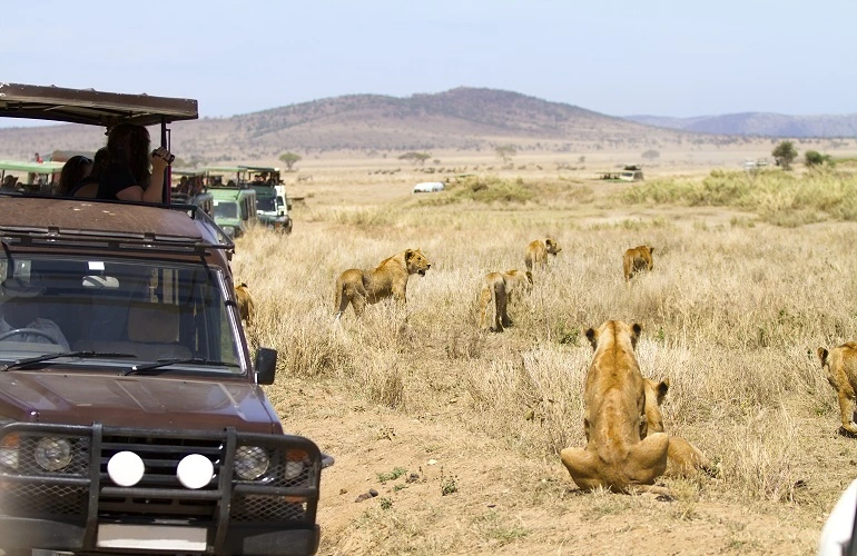 Serengeti Private Safari