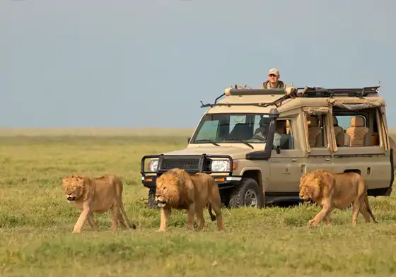 Tanzania Midrange Safari